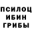 Галлюциногенные грибы Psilocybe Shoaib Martin