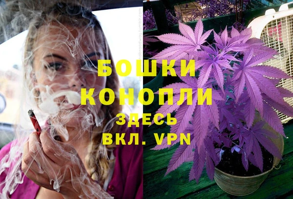 COCAINE Новодвинск