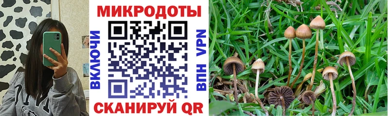 Псилоцибиновые грибы ЛСД  где найти наркотики  Кудрово 